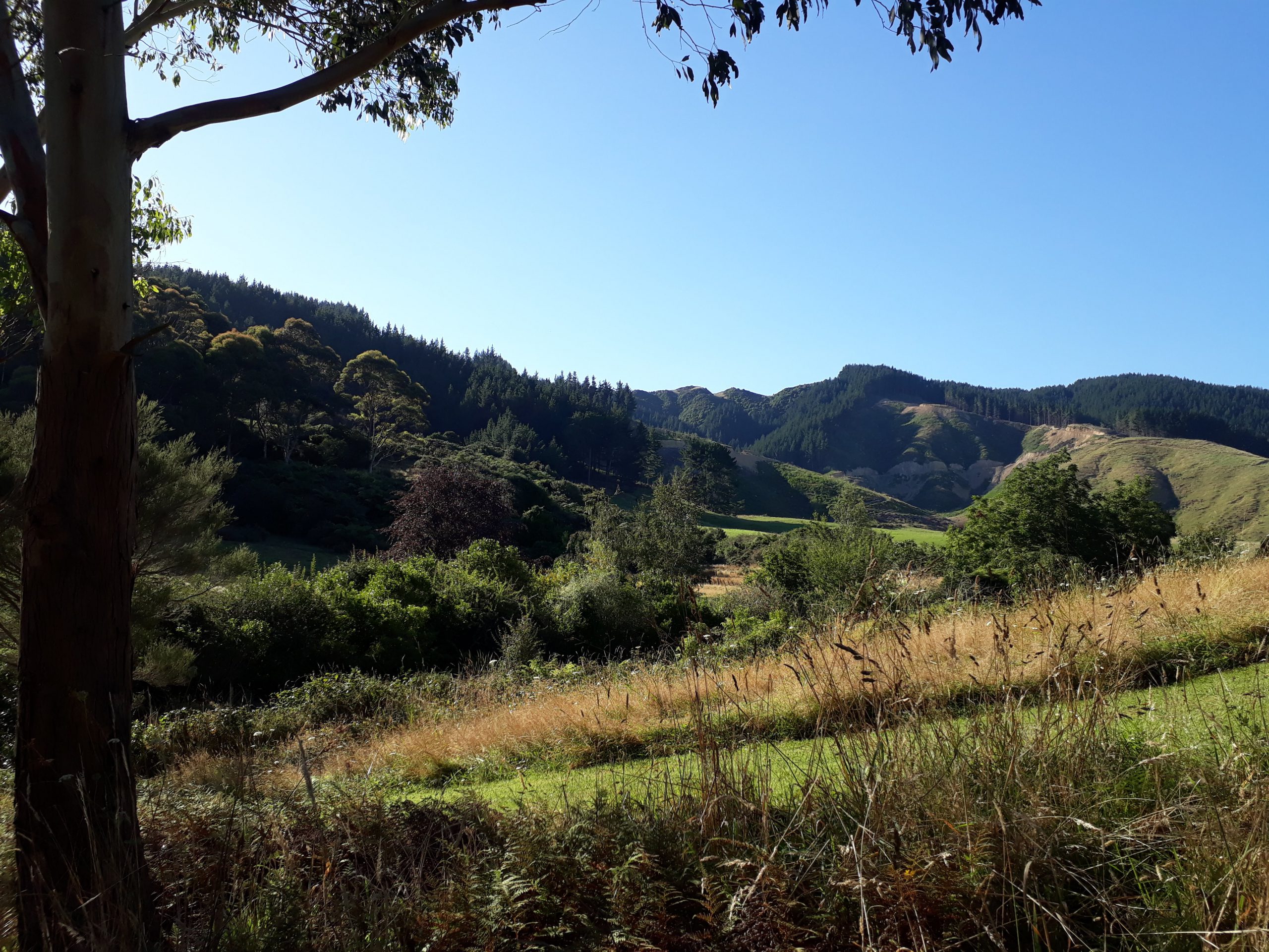 Hills in Levin